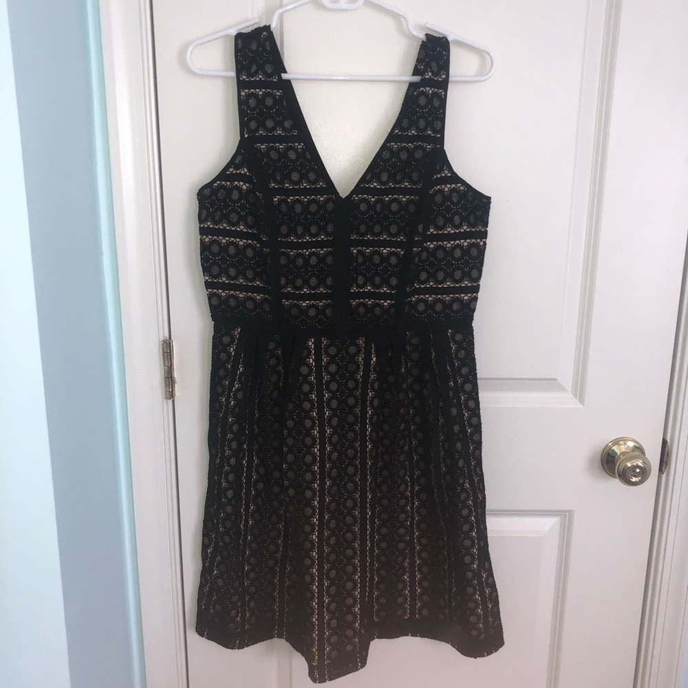 New w Tags Loft Black & Cream Eyelet Dress